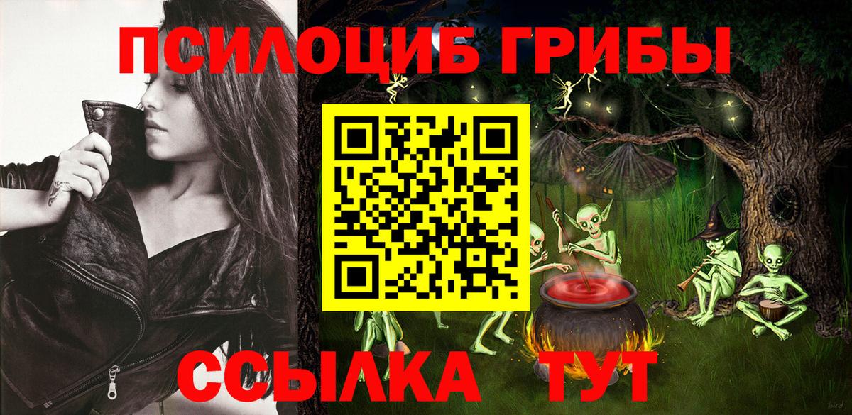 Псилоцибиновые грибы мицелий Унеча