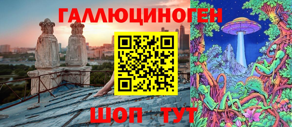 Унеча  Галлюциногенные грибы мицелий  Вход с VPN 